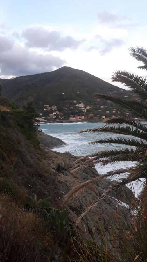 Affittacamere Da Luca Bonassola Dış mekan fotoğraf